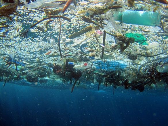 okyanuslardaki plastik