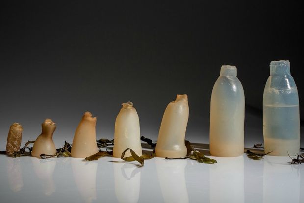 Biyobozunur su şişesi